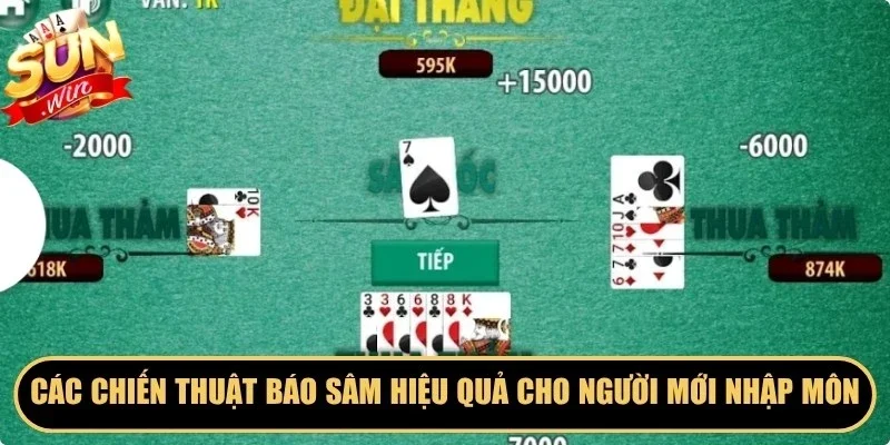 Các chiến thuật báo Sâm hiệu quả cho người mới nhập môn