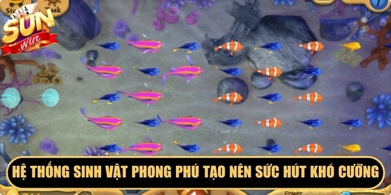 Hệ thống sinh vật phong phú tạo nên sức hút khó cưỡng